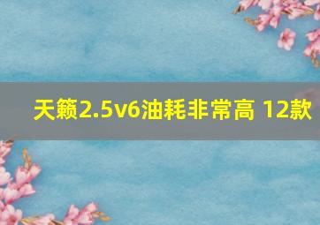 天籁2.5v6油耗非常高 12款